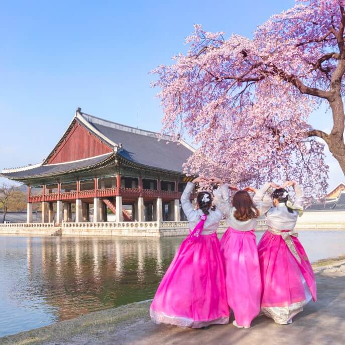 shutterstock_1462313024-korea-square.jpg